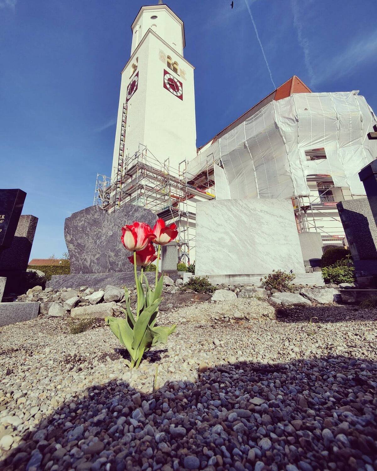 Friedhof im Allgäu: ein graues Granitgrabmal und eine helle Marmorplatte im Kies, davor eine rot-weiße Tulpe, im Hintergrund der Kirchturm.